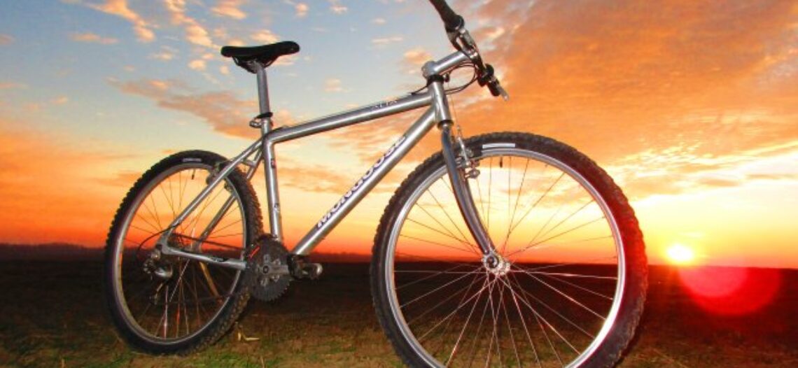 Mongoose Alta 1996