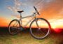 Mongoose Alta 1996