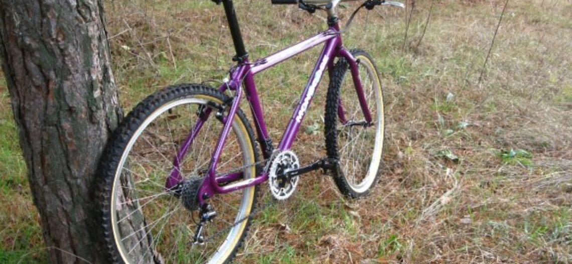 Mongoose I.B.O.C. Pro 1993