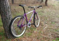 Mongoose I.B.O.C. Pro 1993