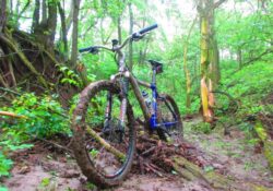 Mongoose NX 7.5 ’00 Custom